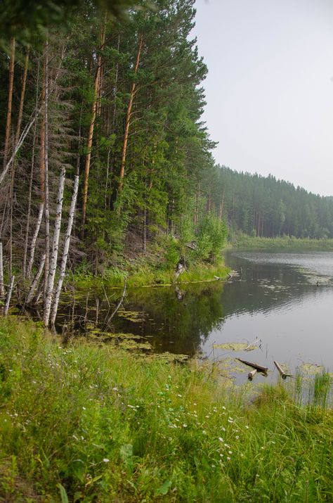 Siberian Forest, Landscape Art, Forest, Lake, Art