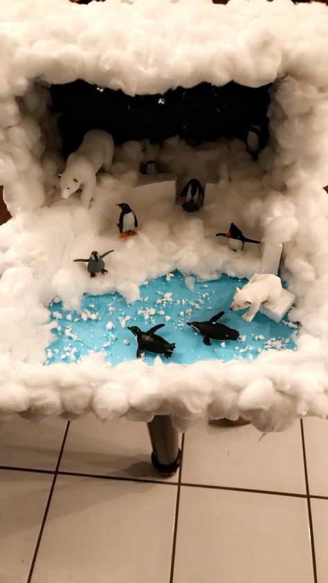 Polar Ice Habitat Project, Polar Bear Habitat Project, Polar Region Project, Polar Habitat Project, Artic Habitat Project For Kids, Ecosystems Diorama, Biome Project, Arctic Habitat, Biomes Project