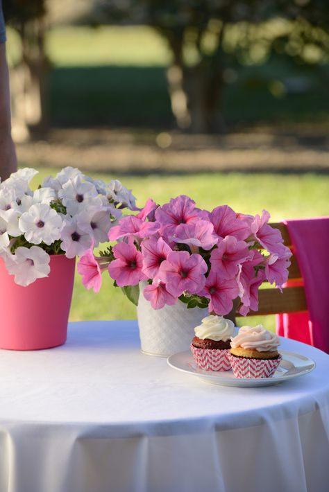 Petunia Centerpiece, Potting Party, Pink Pots, Long Lasting Flowers, Wave Petunias, Easy Waves, Sweet Easy, Pink Passion, Romantic Holiday