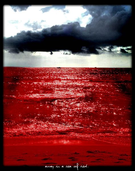 Red Ocean Painting, Red Ocean, Aesthetic Stuff, Ocean Painting, Red Sea, A Sea, Red Hot, Favorite Color, Paintings