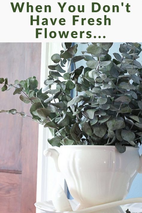 Decorating With Eucalyptus Branches, Faux Eucalyptus Arrangement, Dry Eucalyptus Decor, Dried Eucalyptus Arrangement, Dried Eucalyptus Uses, Eucalyptus Crafts, Dried Eucalyptus Decor, Decorating With Eucalyptus, Drying Roses