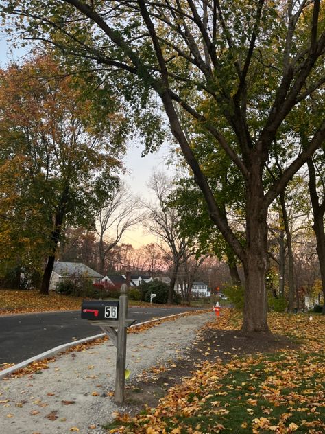 Small Town Aesthetic Fall, Neighborhood Aesthetic, Autumn America, American Neighborhood, Autumn Grunge, American Halloween, Usa Aesthetic, Oregon Summer, Small Town Life