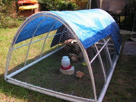 New PVC chicken tractor, just finished! | BackYard Chickens - Learn How to Raise Chickens Pvc Chicken Tractor, Chicken Run Door, Broiler Chicken, Chicken Pen, Chicken Tractors, Chicken Owner, Chicken Feeders, Chicken Tractor, Chicken Run