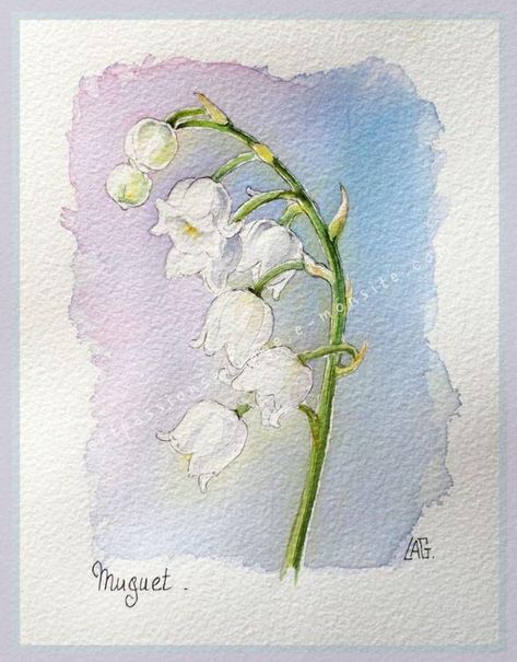 Muguet aquarelle Watercolor Flowers Tutorial, Watercolour Inspiration, Watercolor Flower Art, Watercolor Painting Techniques, 수채화 그림, Watercolor Art Lessons, Watercolor Flowers Paintings, Ink Drawings, Arte Sketchbook