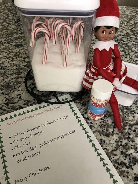 Elf On The Shelf Growing Candy Canes, Elf On The Shelf With Candy Canes, Elf On The Shelf Ideas Candy Canes, Candy Cane Elf On The Shelf Ideas, Elf On The Shelf Candy, Elf On The Shelves, Elf 2023, Pancake Ideas, Candy Cane Game