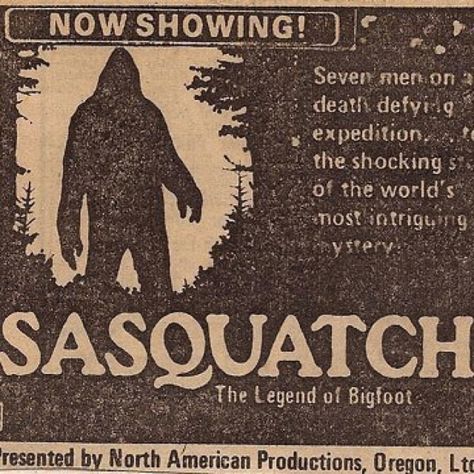 Sasquatch movie Cryptidcore Aesthetic, Bigfoot Art, The Adventure Zone, Dipper Pines, Paranormal Investigation, Ghost Hunting, Film Tv, X Files, Intj