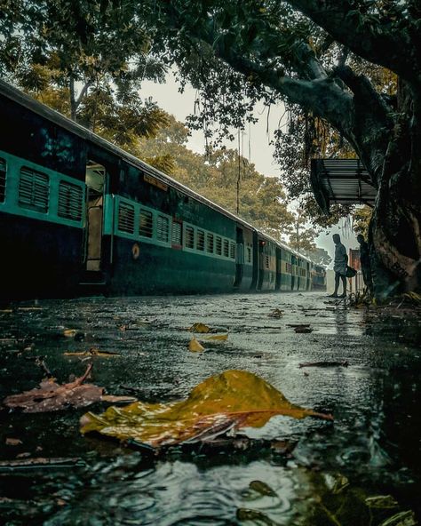 Indians Wandering on Instagram: “The journey through green tunnel! . . Nilambur-Shoranur line is a 66 km single line broad gauge railway line built by the British in the…” Green Tunnel, Awsome Pictures, Railway Line, Village Photos, Candy Stickers, Indian Railways, Cute Backgrounds For Phones, Alone Photography, Train Pictures