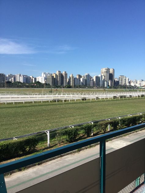 Jockey Club em São Paulo Jockey Club, Interesting Art, Tree Branches, How To Make An, Art Pieces, Art, Sao Paulo