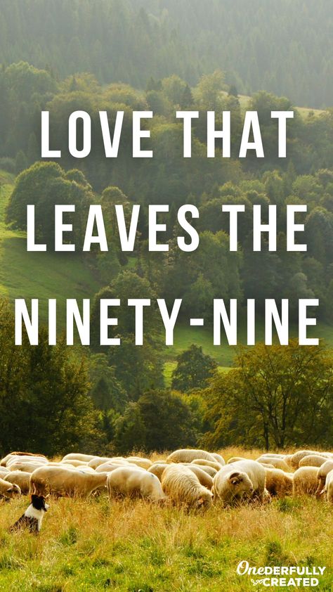 God's love is as reckless as a shepherd who leaves 99 healthy sheep to go after one lost sheep. How can we show that boundless love to those in our lives? The 99 Sheep Quotes, Sheep Quote, 99 Sheep, Cory Asbury, Evangelism Quotes, Lds Talks, Sermon Ideas, Sunday Prayer, Lost Sheep