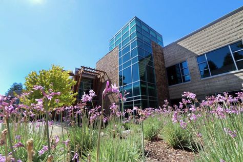 The Recreation Center at SSU - Sonoma State University - Rohnert Park, California - Unique Venues - USA Rohnert Park California, Sonoma State University, Conference Venue, College Stuff, Recreation Centers, Unique Venues, Colleges And Universities, State University, University