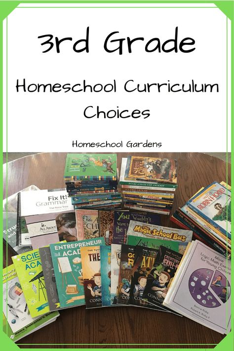 Looking for curriculum ideas for 3rd grade? Take a look at what we'll be using for 3rd grade homeschool curriculum! | homeschoolgardens.com #booksforkids #homeschoolmath #homeschoolscience #homeschoolhistory #homeschoollanguagearts #bookshark #allaboutspelling Grade 1 Curriculum, Second Grade Homeschool, 3rd Grade Homeschool, 2nd Grade Homeschool, Secular Homeschool, Homeschooling Curriculum, Charlotte Mason Homeschool, Kids Handwriting, Homeschool Books