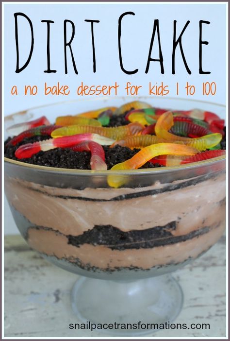 Great No Bake Dessert that kids from 1 to 99 will love! Summer Baking With Kids, Kids Dessert Ideas, Spring Trifle, Pretty Presentation, Preschool Cooking, Cake Halloween, Baking Recipes For Kids, Sister's Birthday, Dirt Cake