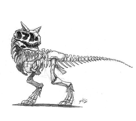 1,611 vind-ik-leuks, 12 reacties - Shaun Keenan (@shaunmichaelkeenan) op Instagram: 'Carnotaurus skeleton yo. #inktober #carnotaurus #draw #skeleton #artistoninstagram #ink #drawing…' Carnotaurus Skeleton, Shaun Keenan, Draw Skeleton, Dinosaur Sketch, Dinosaur Tattoos, Skeleton Drawings, Animal Skeletons, Skeleton Tattoos, Dinosaur Drawing