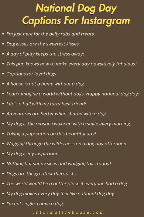 Celebrate Fur-tastic Moments on National Dog Day With These Best National Dog Day Captions! Bio For Dogs On Instagram, Caption For Dog Lovers, Dog Love Captions Instagram, Dog Captions Dog Captions Instagram Cute, Dog Love Captions, Dog Mom Captions Instagram, Dog Instagram Bio Ideas, Pet Captions Instagram Dog, Puppy Captions Instagram