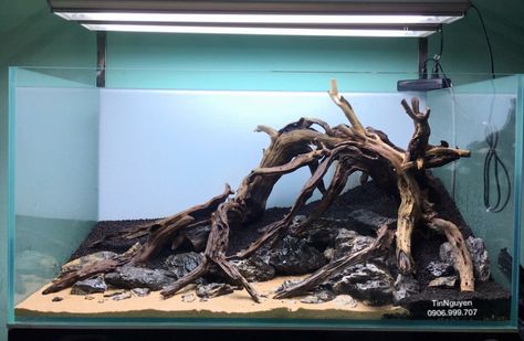 Wood Aquascape, Aquatic Turtle Tank, Aquascape Ideas, Fish Aquarium Decorations, Aquascape Design, Betta Aquarium, Fish Tank Design, Aquarium Terrarium, Fresh Water Fish Tank