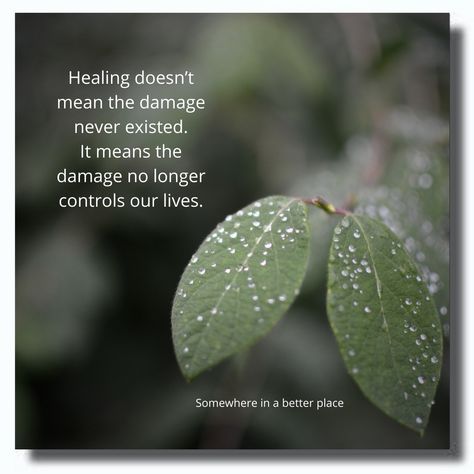 Healing doesn't mean the damage never existed. It means the damage no longer controls our lives. Our Life, Healing, Quotes