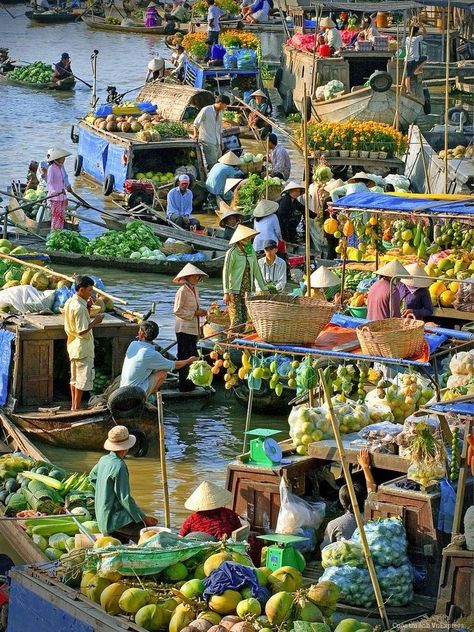 mekong delta 10 best travel places in vietnam Thailand Landscape, Beautiful Vietnam, Vietnam Voyage, Visit Vietnam, South Vietnam, Halong Bay, Lukisan Cat Air, Visual Development, Vietnam Travel