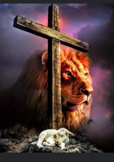 Lion Of Judah Jesus, Lion And Lamb, Prophetic Art, Ayat Alkitab, Pictures Of Jesus Christ, Jesus Christ Images, Biblical Art, The Lamb, Lion Of Judah