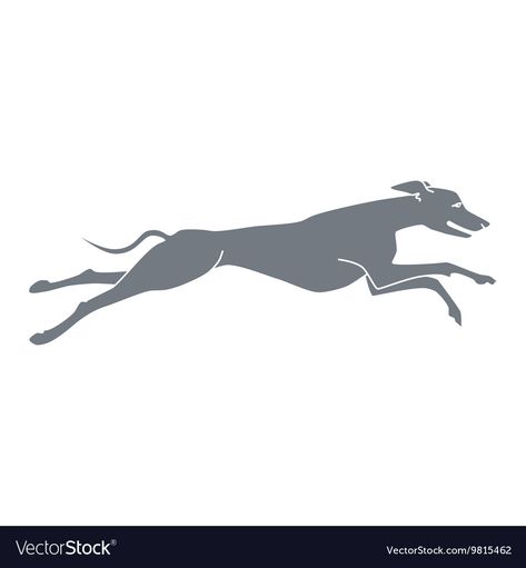 Running Dog Illustration, Whippet Tattoo, Dog Whippet, Sighthound Art, Running Drawing, Running Illustration, Rocket Craft, Running Tattoo, Running Dog