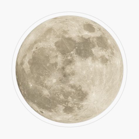 Get my art printed on awesome products. Support me at Redbubble #RBandME: https://www.redbubble.com/i/sticker/Full-Moon-by-SweetSpiceNice/48458449.O9UDB?asc=u Moon Stickers Printable, Moon Stickers, Stickers Printable, Plastic Stickers, Moon Night, Night View, Personalized Water Bottles, Coloring Stickers, Free Stickers