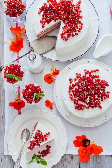 Cakes with red currant by letterberry Berry Dessert, Red Currant, Cream Desserts, Fruit Desserts, Red Berries, Aloe Vera, Dessert, Fruit, Cake