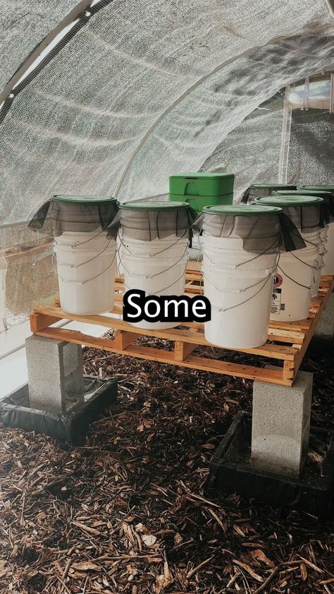 Worm Tower Diy, Worm Tower, Worm Farm Diy, Diy Bucket, Compost Tea, Worm Farm, Money Makers, Earthworms, Composting