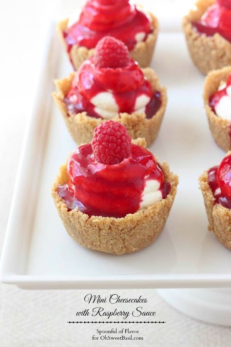 Mini Cheesecakes with Raspberry Sauce for Oh Sweet Basil Dessert Mini, Cheesecake Cups, Cheesecake Mini, Torte Cupcake, Raspberry Sauce, Small Desserts, Sweet Cake, Mini Cheesecakes, Creamy Cheesecake