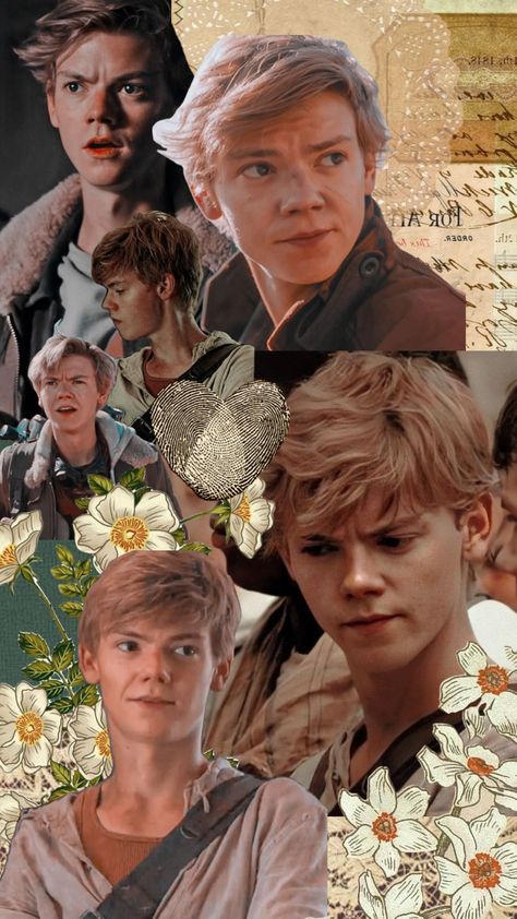 Thomas Maze Runner, Maze Runner 1, Thomas Brodie Sangster Imagines, Maze Runer, Series Netflix, Maze Runner Trilogy, Maze Runner Funny, James Dashner, Maze Runner Cast