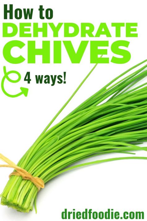 How To Dehydrate Chives, Dehydrating Chives In Dehydrator, Good Preservation, How To Dry Chives, Preserving Chives, Dehydrated Chives, Dehydrate Chives, Drying Chives, Dehydrated Herbs