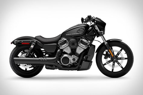 Harley Nightster, Harley Davidson Nightster, Harley-davidson Sportster, Chip Art, Motos Harley, Drag Bike, Model Call, Harley Davidson Sportster, Motorcycle Harley