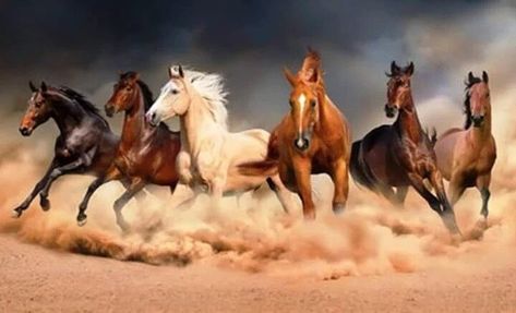 Pascal on Twitter: "… " Seven Horses Painting, Wild Horses Running, Horses Running, Horse Anatomy, Horse Artwork, Horse Tattoo, Galaxy Phone Wallpaper, Horse Painting, Horse Art