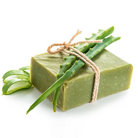 Aloe Vera Soap Manufacturers in India - We at HCP Wellness are the leading Herbal Aloe Vera Body Soap Manufacturers & Suppliers in India, that serves the utmost quality. Aloe Vera Soap, Natural Aloe Vera, Soap Base, Aloe Vera, Dish Soap, Moisturizer, Soap, India, Pure Products