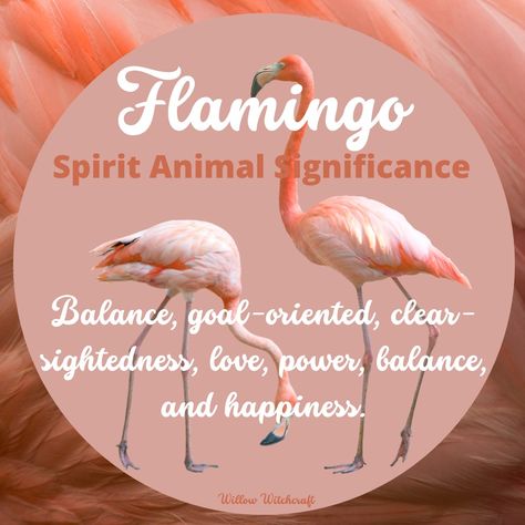 Flamingo Spirit Animal Meaning, Flamingo Symbolism, Meditation Signs, Flamingo Willow, Flamingo Meaning, Charm Meanings, Butterfly Spirit Animal, Animal Totem Spirit Guides, Tree Hugging