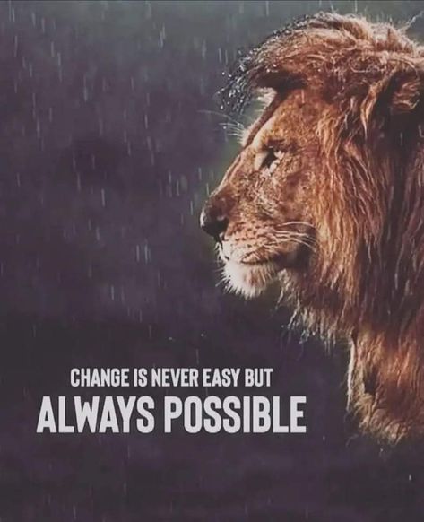 Motivational Quotes For Success Positivity, Lone Wolf Quotes, Study Inspiration Quotes, Leo Zodiac Quotes, Chance Quotes, Self Respect Quotes, Lion Quotes, Powerful Motivational Quotes, Inspirational Quotes About Success