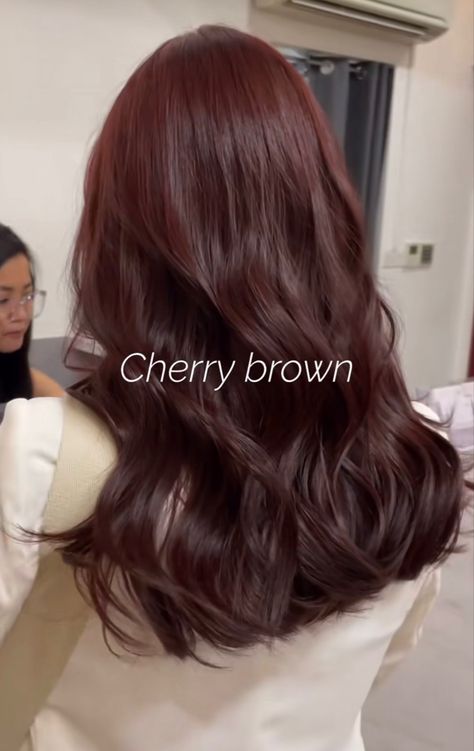 Hair Color For Chinese Women, Brown To Amber Hair, Hair Colors That Grow Out Well, Rustic Brown Hair Color, Red Brown Shag Hair, Ashley Brown Hair, Hair Color That Makes Your Skin Lighter, Hairstyles For Nice Events, Hair Colours For Straight Hair