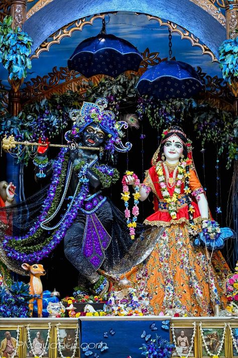 રાધે ક્રિષ્ના, Gupta Ji, Om Symbol Wallpaper, Radha Radha, Buddha Art Drawing, Radha Krishna Songs, Saraswati Goddess, Pictures Of Shiva, Wallpaper Photo Gallery