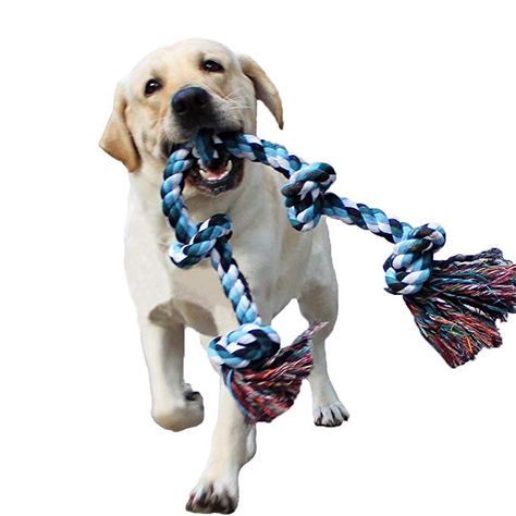 Dog Squeaky Toys, Dog Toys Indestructable, Tough Dog Toys, Rope Dog Toys, Best Dog Toys, Dog Teeth Cleaning, Dog Ball, Medium Dog, Rope Dog