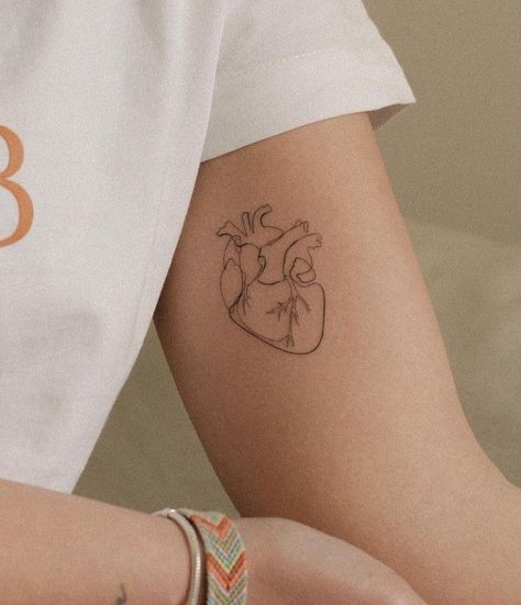 Human Heart Tattoo, Realistic Heart Tattoo, Heart Outline Tattoo, Anatomical Tattoos, Brain Tattoo, Anatomical Heart Tattoo, Medical Tattoo, Traditional Tattoo Designs, Petite Tattoos