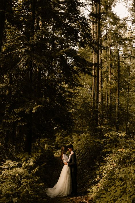 Washington Wedding Photographer, Elopement Photography, Woods, PNW, Dark and moody, Warm and romantic Pnw Forest, Foto Pertunangan, Moody Wedding Photography, Forest Elopement, Forest Theme Wedding, 3rd Wedding Anniversary, Washington Elopement, Moody Photography, Dark Wedding