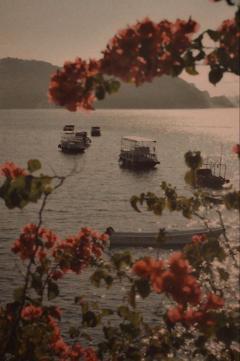 Boat Aesthetic Vintage, Italy Vintage Aesthetic, Italy Aesthetic Vintage, Travel Goals Aesthetic, Vintage Italian Aesthetic, France Aesthetic Vintage, Vintage Italy Aesthetic, Italian Woman Aesthetic, Old Italian Aesthetic