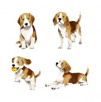 Premium Vector | The collection of beagle in many action. illustration Beagle Puppy Drawing, Beagle Tattoo, Beagle Breeds, Dog Design Art, Dog Watercolor Painting, Cute Dog Cartoon, Beagle Art, Cute Beagles, 강아지 그림