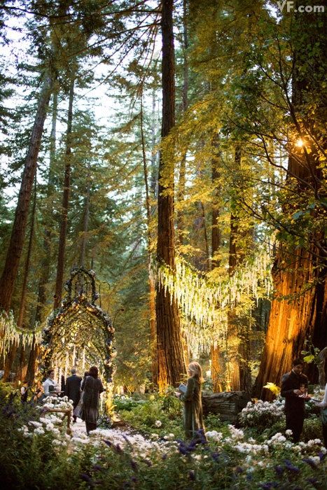 Sean Parker Wedding, Cottage Core Wedding, Elvish Wedding, Forest Wedding Venue, Cottagecore Wedding, Wedding Forest, Forest Theme Wedding, Wedding Themes Summer, Outdoor Fairy Lights