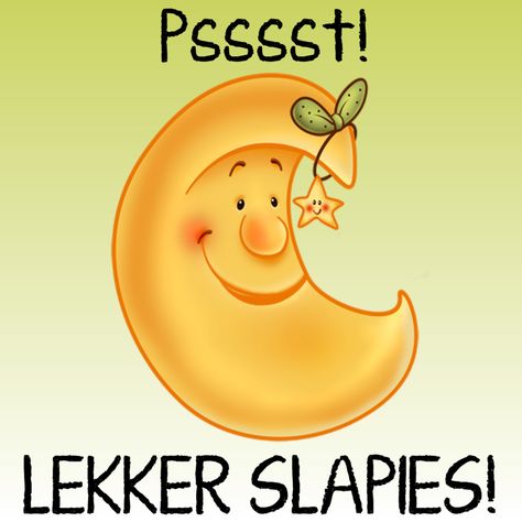 Psssst! LEKKER SLAPIES! Nag Se, Lekker Slapies, Afrikaanse Woorde, Emoticon Faces, Lekker Slaap, Morning Pics, Night Messages, Good Night Messages, Good Night Wishes