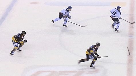 The Coolest Pass in Hockey Doesn't Involve a Puck Hockey Gif, Action Gif, Quotes Girlfriend, Hockey Rules, Canadian Things, Hockey Boards, Funny Hockey, Hockey Quotes, Hockey Memes