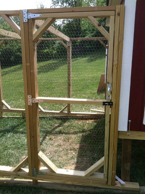 Occupy The Backyard | BackYard Chickens - Learn How to Raise Chickens Chicken Run Door, Chicken Ladder, Easy Diy Chicken Coop, Chicken Fence, Backyard Ducks, Chicken Coup, Backyard Chicken Coop Plans, Coop Plans, Backyard Chicken Farming