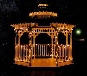 We are having a gazebo too! The lights give it a great touch! Gazebo With Lights, Outdoor Wedding Gazebo, Gazebo Wedding Ceremony, Gazebo Wedding Decorations, Gazebo Lighting, Outdoor Wedding Lighting, Gazebo Decorations, Pavilion Wedding, Gazebo Wedding