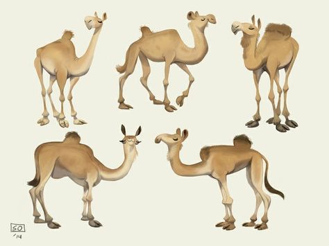 Camels Illustration, Camel Art, Camels Art, Product Art, Animation Anime, Nature Sketch, Animals Design, Art Animation, Animation Design