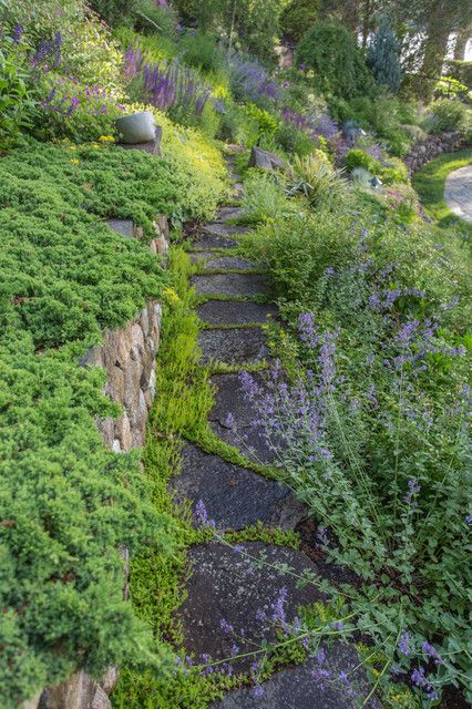 Creek Bank Landscaping, Bank Landscaping, Water Feature Wall, Garden Water Feature, Beach Haven, House Design Photos, Yard Ideas, Show Photos, Landscape Architect