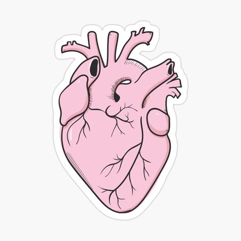 Medical Stickers Aesthetic, Medical Stickers, Eid Stickers, Sticker Design Inspiration, Science Stickers, Scrapbook Printing, Computer Sticker, Anatomical Heart, New Sticker