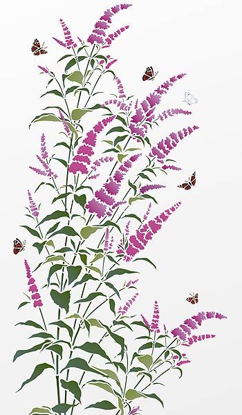 Wild Flower Stencil, Buddleia Butterfly Bush, Stencil Motifs, Stem Art, Fleurs Art Nouveau, Curtains Bed, Butterfly Stencil, Butterfly Bush, Flower Stencil